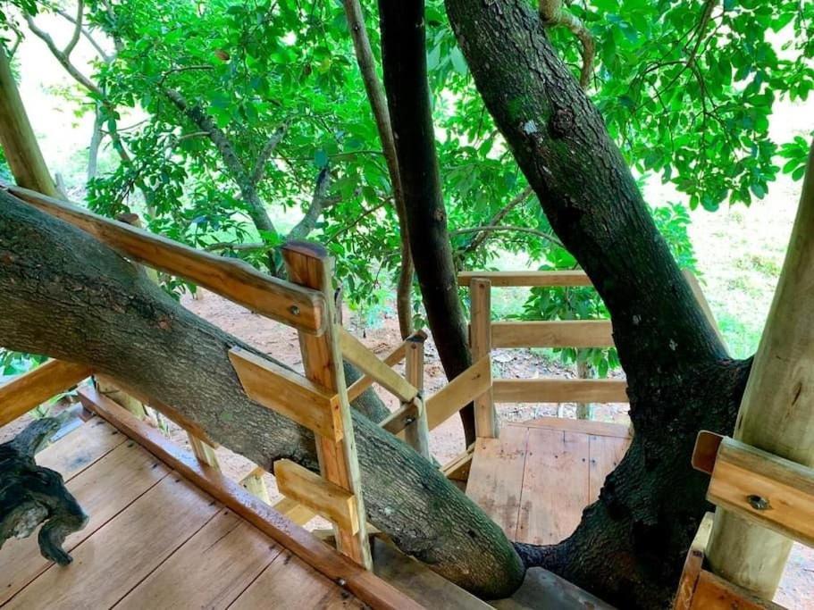 Condominio Shambala Piri Pirenópolis Zewnętrze zdjęcie