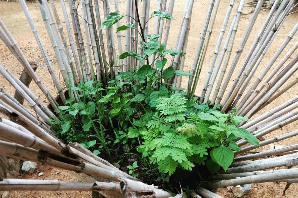 Condominio Shambala Piri Pirenópolis Zewnętrze zdjęcie