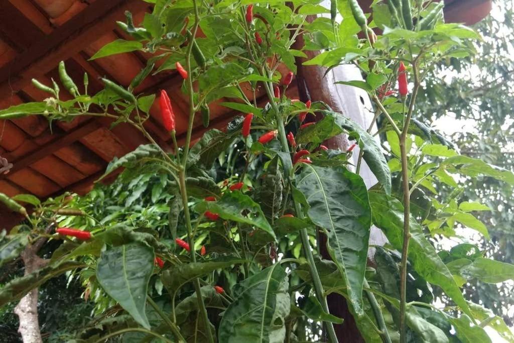 Condominio Shambala Piri Pirenópolis Zewnętrze zdjęcie