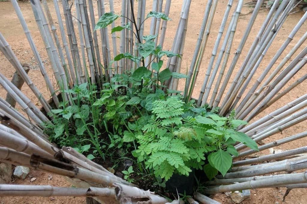 Condominio Shambala Piri Pirenópolis Zewnętrze zdjęcie